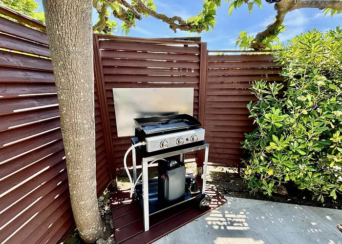 Mazet Climatise - Piscine - Parking Privatif - Fr-1-816-26 * Le Lavandou